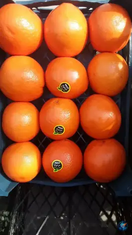 عکس میوه فروشی برکت، آل یاسین اصفهان 7