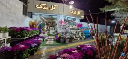 عکس گل فروشی فدک، گلستان اصفهان 3