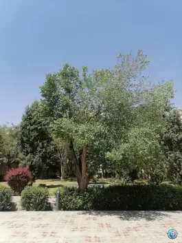 عکس بوستان بهشت، میرعماد، اصفهان 10