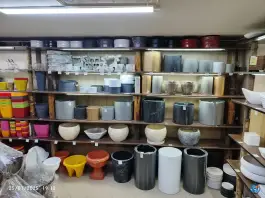 عکس گالری گل های آپارتمانی رستان، رجایی شهر کرج 2