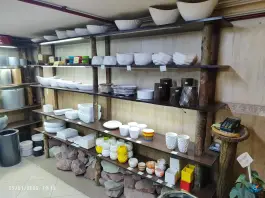 عکس گالری گل های آپارتمانی رستان، رجایی شهر کرج 3