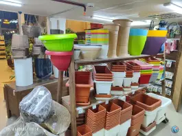 عکس گالری گل های آپارتمانی رستان، رجایی شهر کرج 4