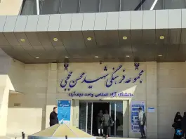 مجموعه فرهنگی شهید حججی، میدان دانشگاه، نجف آباد
