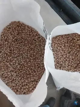عکس کارخانه فراوری پسته بخشی، قم 2