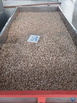 عکس کارخانه فراوری پسته بخشی، قم 6
