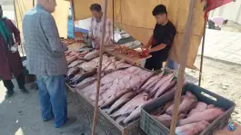 عکس چهارشنبه بازار شهرک پیام کرج 6