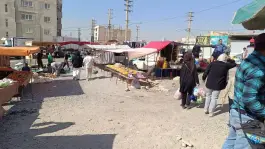 عکس چهارشنبه بازار شهرک پیام کرج 7