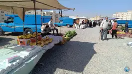عکس چهارشنبه بازار شهرک پیام کرج 10