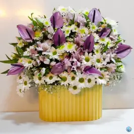 عکس گل لاله ۲؛ رجایی شهر، کرج 2