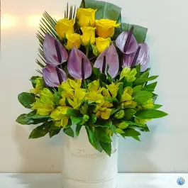 عکس گل لاله ۲؛ رجایی شهر، کرج 3