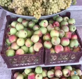 عکس سوپر میوه علی، محله بوستان مهرشهر کرج 4
