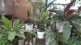 عکس گل آرایی گل هانا، رجایی شهر، کرج 3