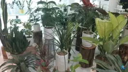 عکس گل آرایی گل هانا، رجایی شهر، کرج 4