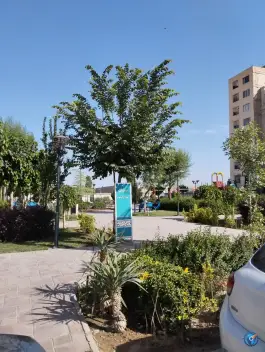 عکس پارک سی ان جی، محمدشهر، کرج 3