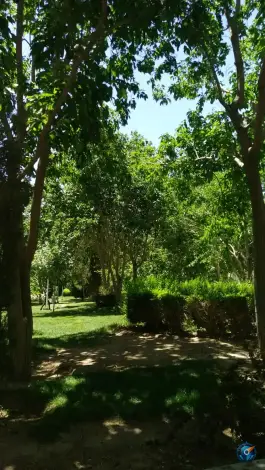 عکس بوستان شهدای کنگاز، اریسون، اصفهان 3