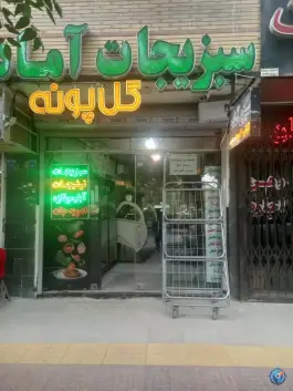 عکس سبزیجات آماده گل پونه، ملک شهر اصفهان 2