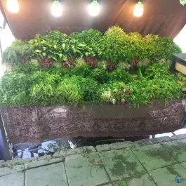 عکس میوه سرای نرخ شکن نعمتی، حسین آباد، کرج 3