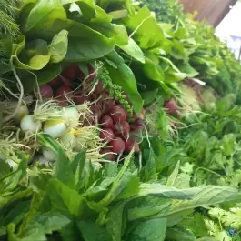 عکس میوه سرای نرخ شکن نعمتی، حسین آباد، کرج 4