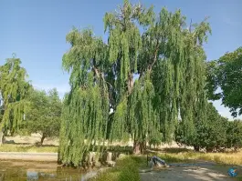عکس استخر ابراهیم بیگ، آذرشهر 4