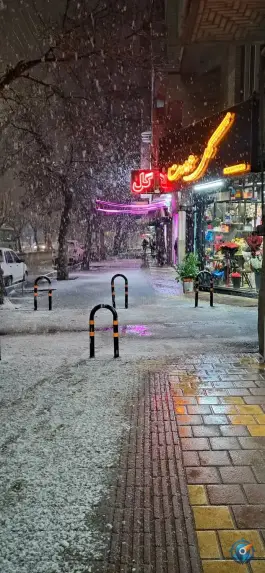 گلفروشی عمارت، نبش کوچه عرفان، همدان