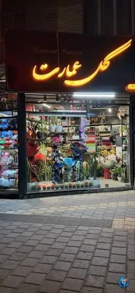 عکس گلفروشی عمارت، نبش کوچه عرفان، همدان 5