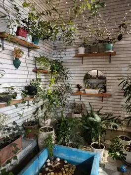 عکس کافه شهر کاغذی، ملاصدرا، شیراز 6