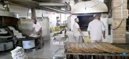 عکس مجتمع نان ارم، خاکشناسی، شیراز 4