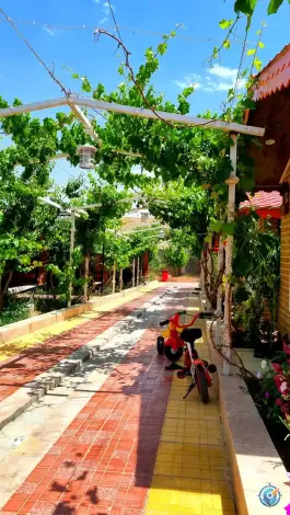 رستوران و کافی شاپ چیترا، سامان