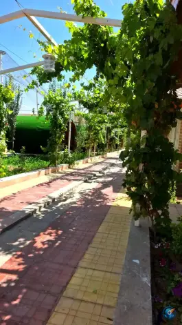 عکس رستوران و کافی شاپ چیترا، سامان 7