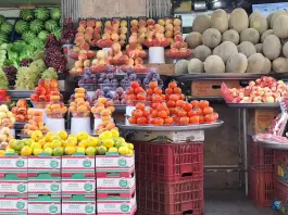 میوه فروشی پانیذ، ملک شهر اصفهان