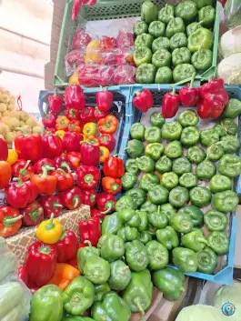 عکس میوه فروشی پانیذ، ملک شهر اصفهان 3