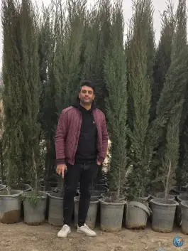 عکس بازار گل و گیاه برگ سبز هاشم پور، بلوار امیرکبیر، کرج 4