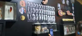 عکس مجموعه پروفسور بازیما، شاهنامه، مشهد 10
