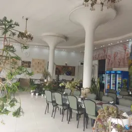 عکس اکبر جوجه ساغروان، جاده قوچان، مشهد 4
