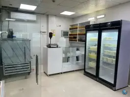 عکس لبنیات سنتی ماستینه در محله دینکان شیراز 6