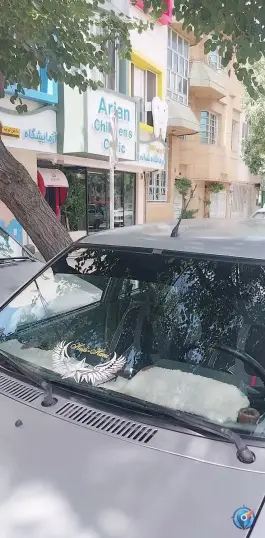 درمانگاه شبانه روزی اطفال آریان، کوهسنگی مشهد