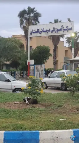 عکس بیمارستان گلستان، فروردین، اهواز 3