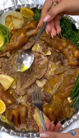 عکس طباخی شاهگوش، حرعاملی، مشهد 7