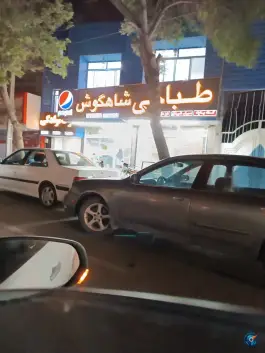 عکس طباخی شاهگوش، حرعاملی، مشهد 8