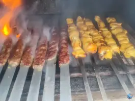عکس جگر فیروزه علیدخت بجنورد 5