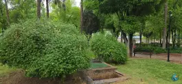عکس بوستان جماران، شهرک جماران، شیراز 7