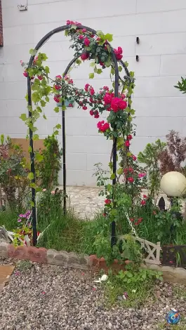 عکس عمارت عقد معین امیرکلا بابل 4