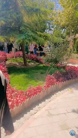 عکس پارک ساحلی ناژوان «جنگل بان» اصفهان 5