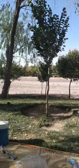 عکس پارک ساحلی ناژوان «جنگل بان» اصفهان 8