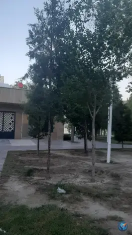 عکس پارک گلستانه، محله خانه اصفهان، اصفهان 4