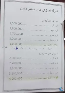 عکس استخر دلفین «پرند» رباط کریم 3