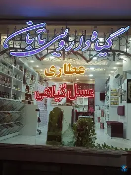 عکس های گیاه دارویی تابان، محله شیخ یوسف، اصفهان