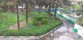 عکس دبیرستان پسرانه رشد، یاخجی آباد، تهران 2