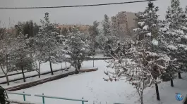 بوستان گلباران بنیاد قم