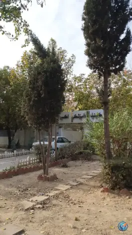 کلینیک دامپزشکی اکسیر، مهرشهر کرج